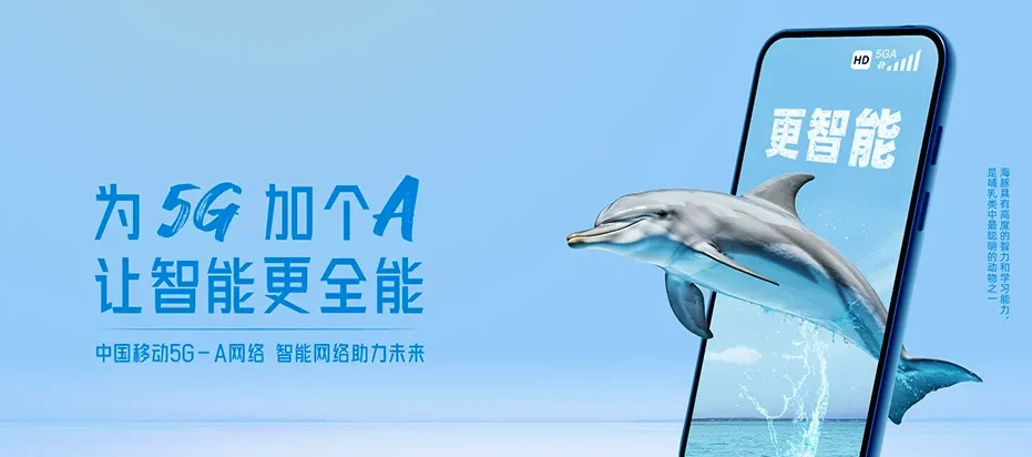 资阳区资阳区张家塞乡 移动宽带